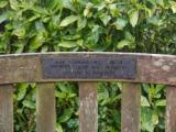 image of grave number 387639